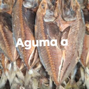GUMAA