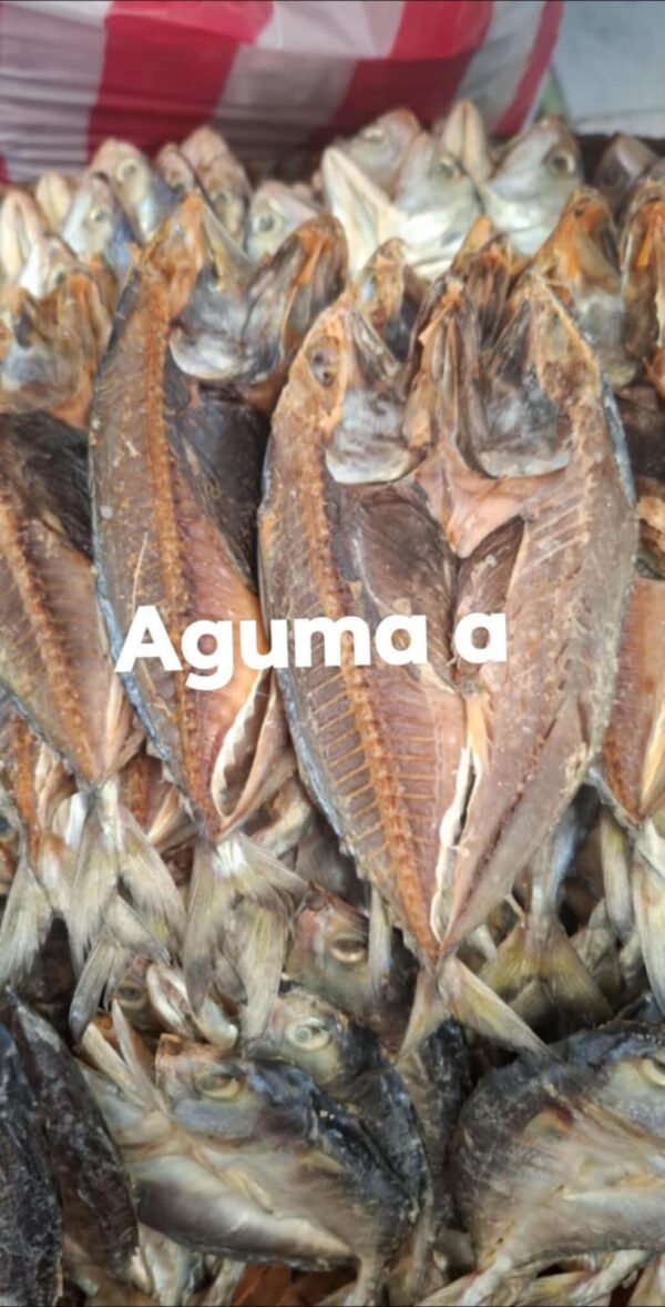 GUMAA