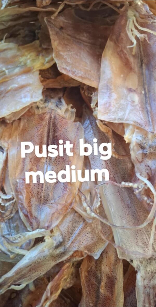 PUSIT BIG / MEDIUM