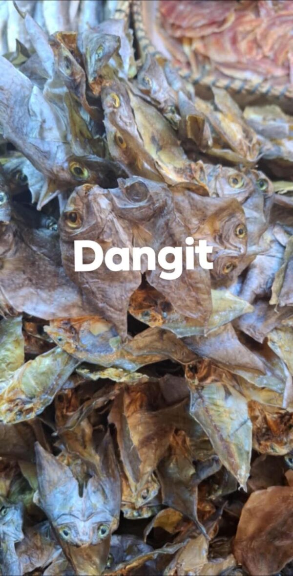 DANGIT