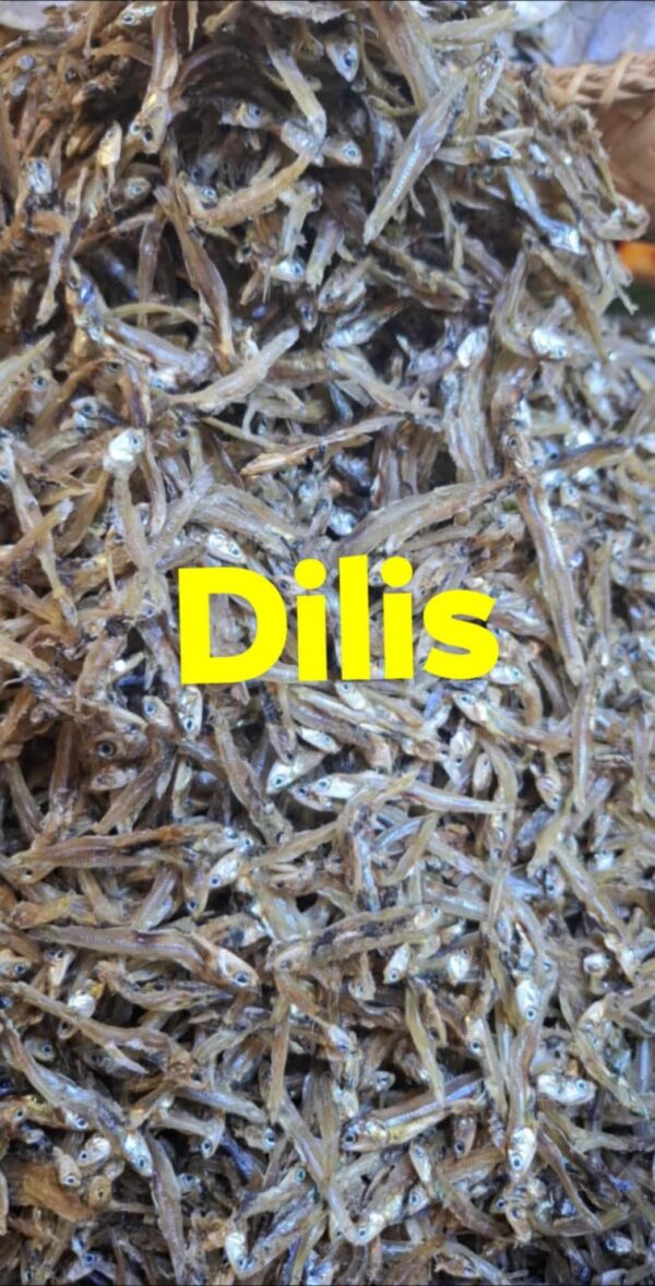 DILIS